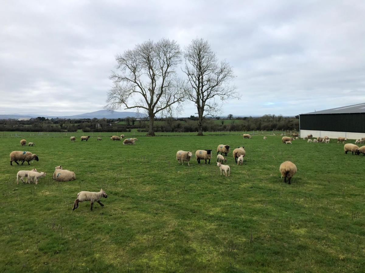Knockreagh Farm Cottages, Callan, Kilkenny Luaran gambar