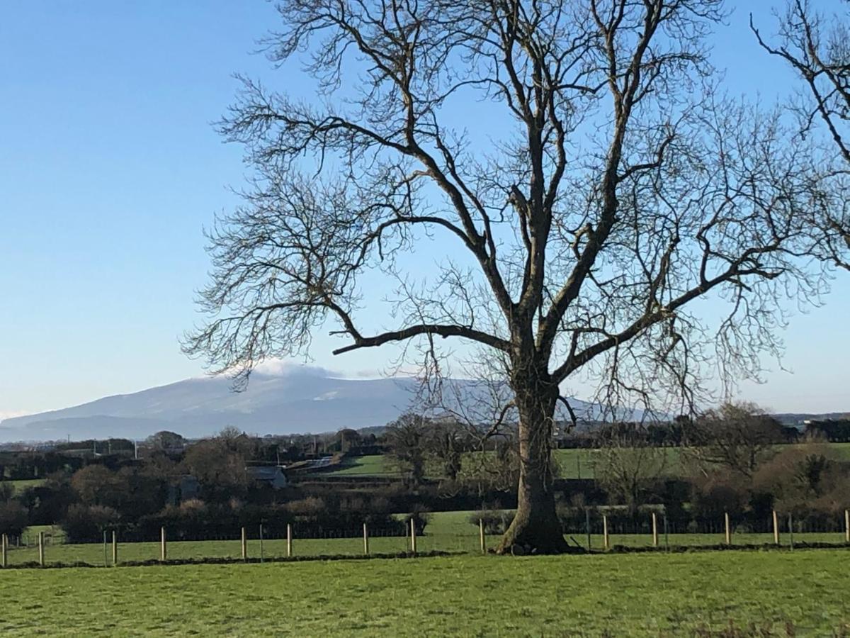 Knockreagh Farm Cottages, Callan, Kilkenny Luaran gambar